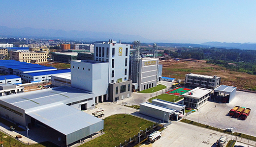 正大飼料（崇陽(yáng)）有限公司年產(chǎn)18萬(wàn)噸飼料廠項(xiàng)目