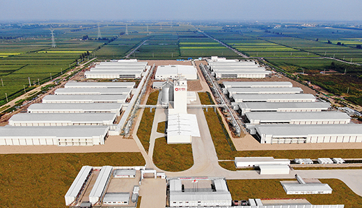 山東濰坊現(xiàn)代食品（360萬(wàn)蛋雞）全產(chǎn)業(yè)鏈