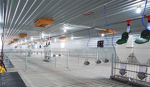 湛江北坡三合14000育肥五場(chǎng)