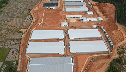 湛江響水14000育肥六場(chǎng)